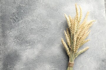 Bunch of wheat spikes on grey textured table, top view. Space for text