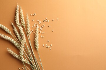 Many wheat spikes and seeds on golden background, flat lay. Space for text