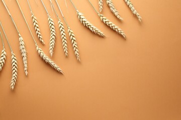 Many wheat spikes on golden background, flat lay. Space for text