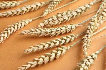 Many wheat spikes on golden background, closeup