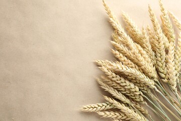 Many wheat spikes on paper background, flat lay. Space for text