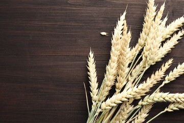 Many wheat spikes on wooden table, flat lay. Space for text