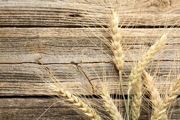 Many wheat spikes on wooden table, flat lay