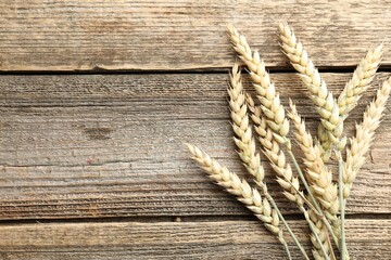 Many wheat spikes on wooden table, flat lay. Space for text