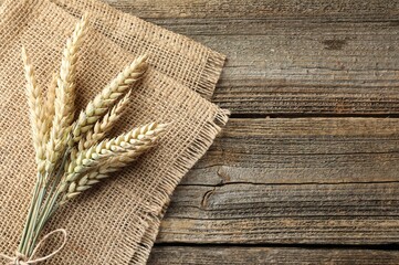 Bunch of wheat spikes on wooden table, top view. Space for text
