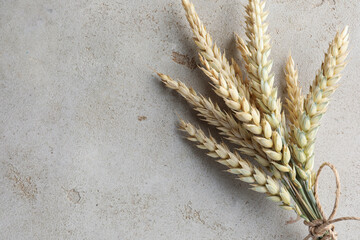 Bunch of wheat spikes on light grey table, top view. Space for text