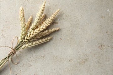 Bunch of wheat spikes on light grey table, top view. Space for text