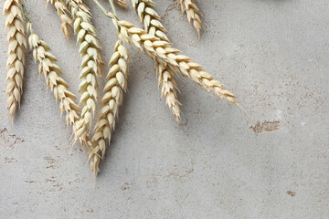 Many wheat spikes on light grey table, flat lay. Space for text