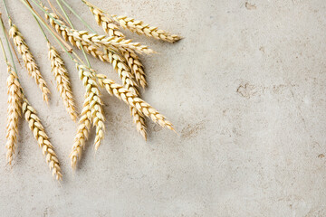 Many wheat spikes on light grey table, flat lay. Space for text