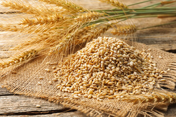 Wheat spikes and grains on wooden table, closeup