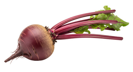 Isolated Whole Beetroot