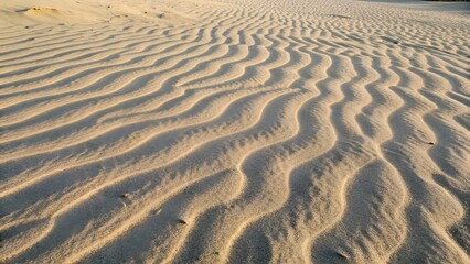 Fototapeta premium Rippling sand dunes in the desert create an abstract pattern of texture, resembling waves on a sandy coast