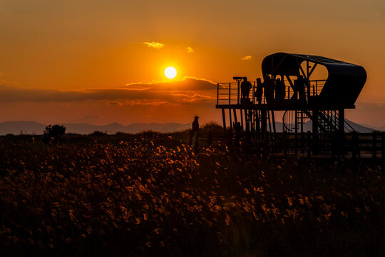 sunset view with the silhouettes of observatory and people at the reed field - Powered by Adobe