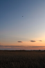 airplane flying in the sky after sunset