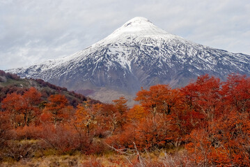 Tierra del Fuego National Park is the southernmost park in Argentina 