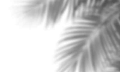 Realistic shadow overlay effect. Natural palm leaf shadows isolated on transparent background. Tropical coconut branch shade, foliage silhouette decoration. Design element for summer spring projects