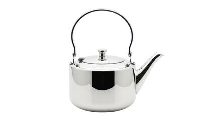 Isolated Stainless Steel Kettle