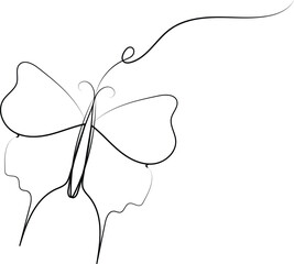 Beautiful butterfly vector illustration