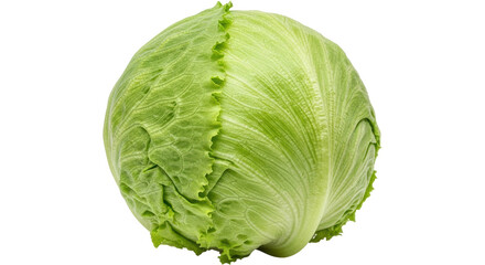 Isolated Iceberg Lettuce Head on White Background