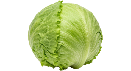 Isolated Iceberg Lettuce Head on White Background