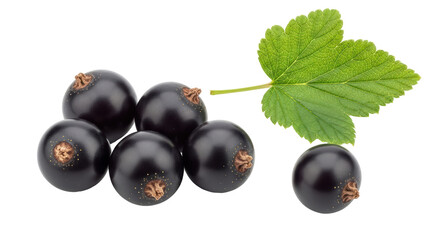 Isolated Blackcurrants with Leaf