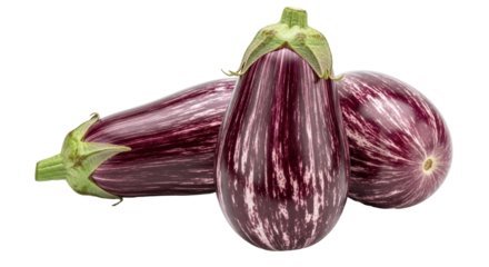 Isolated Striped Eggplants