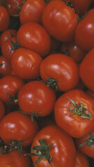 Fresh fruits and vegetables in organic market 