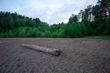 Tranquil natural landscape featuring a fallen log on gravel ground, surrounded by lush green trees...