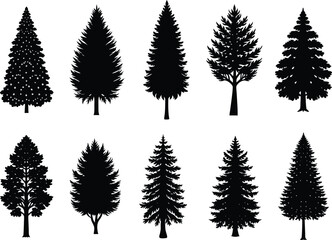 Obraz premium Variety of Tree Silhouettes in Black and White Minimalist Artistic Composition