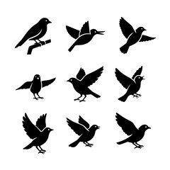 Obraz premium Dynamic black vector bird icons in 9 unique poses. Great for nature-themed projects, web, and print. Simple, elegant design, easily scalable.