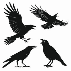 Obraz premium Four Black Crow Silhouettes Different Poses Graphic 1