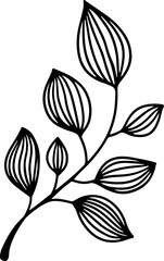 Outline Handdrawn Leaf 