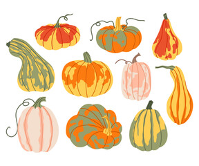Various colorful pumpkins in autumn tones. Perfect for fall, harvest or Thanksgiving designs. Hello autumn.