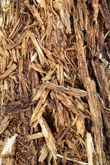 Old wood texture, close-up, selective focus
