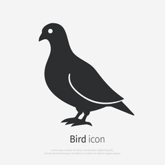 Fototapeta premium Bird dove icon silhouette. Vector logo of a pigeon . Illustration side view isolated on white background.
