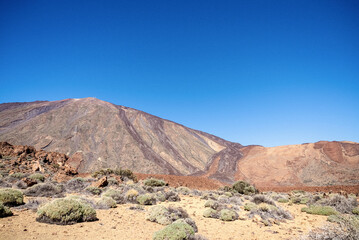 Majestic volcanic landscape in Teide National Park showcases rugged terrain and clear blue skies on a sunny day in Tenerife, Spain