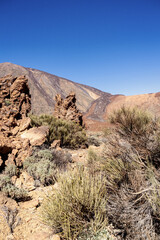 Dramatic rock formations and desert vegetation under a clear blue sky at Tenerife's Teide National Park during midday