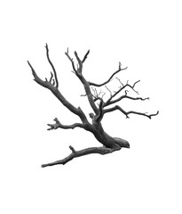 Black Dead tree without leafs isolated on white or transparent background