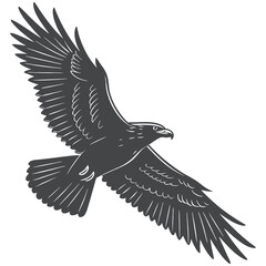 Majestic Eagle Silhouette in Flight with Outstretched Wings
