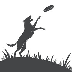 Silhouette of Dog Jumping to Catch Frisbee on Hill
