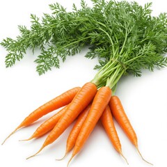 Fresh carrots with green tops isolated on white background