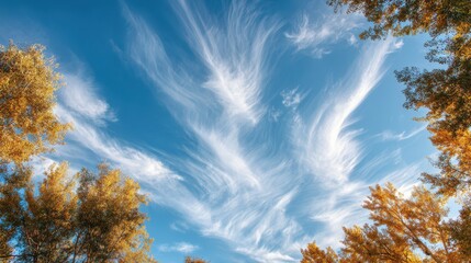 Soft clouds drifting across a crisp blue autumn sky