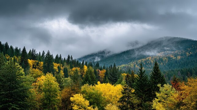 Moody fall sky with low-hanging storm clouds over an autumn forest