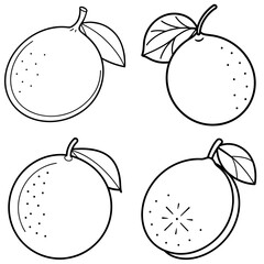Obraz premium Lime Coloring Page – Fresh Citrus Fruit Line Art Illustration for Kids and Adults