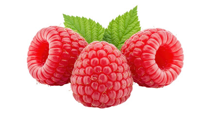 Isolated Raspberries