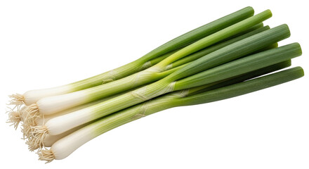 Isolated Fresh Green Onions
