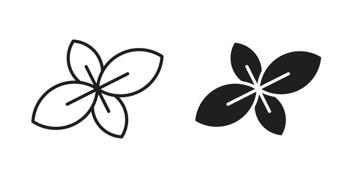 Basil icon vector illustration logo template in filled, outline