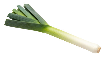 Isolated Leek