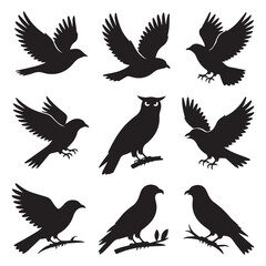 Vector art of various bird silhouettes in flight and perched, including an owl with piercing eyes, isolated on white background