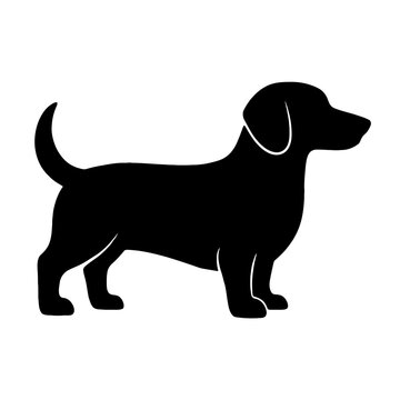 Design a black silhouette of a Drever white background clean vector shape